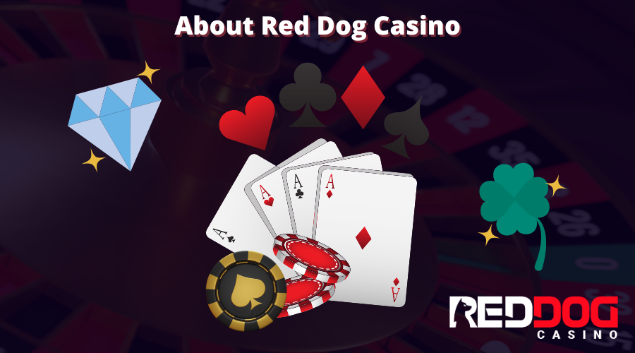 RedDog casino review