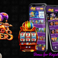 Spins, Wins, And Surprises: The Full Spectrum Of Wild Joker Casino Revealed